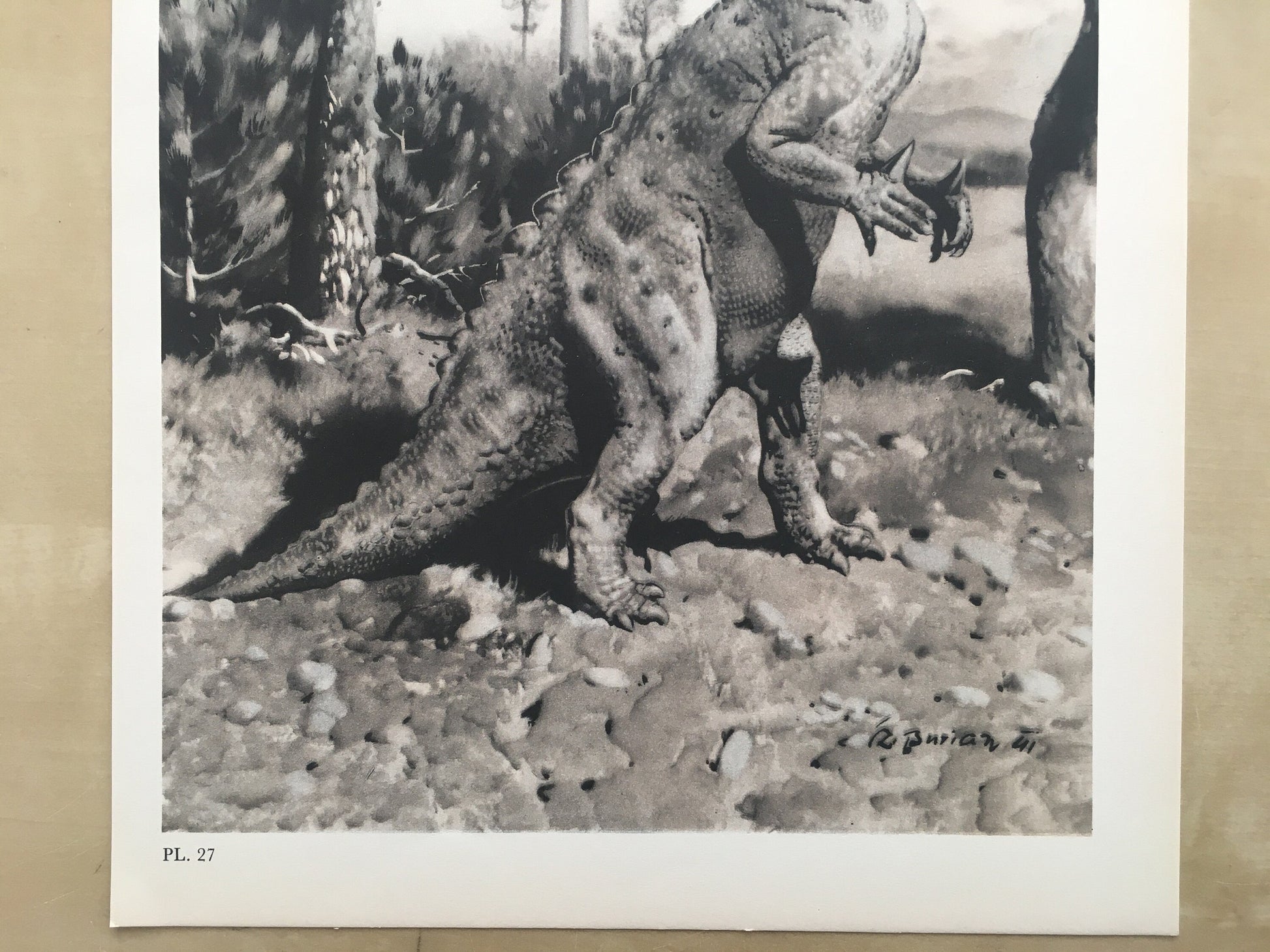 1960 IGUANODON DINOSAUR Print - Prehistoric Animals Print - Paleoart - Dinosaur Decoration - 63 Years Old - 13.5 x 9.75 Inches