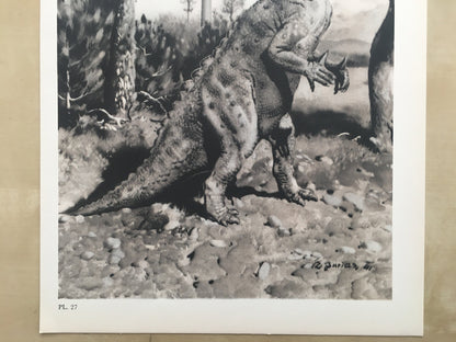1960 IGUANODON DINOSAUR Print - Prehistoric Animals Print - Paleoart - Dinosaur Decoration - 63 Years Old - 13.5 x 9.75 Inches