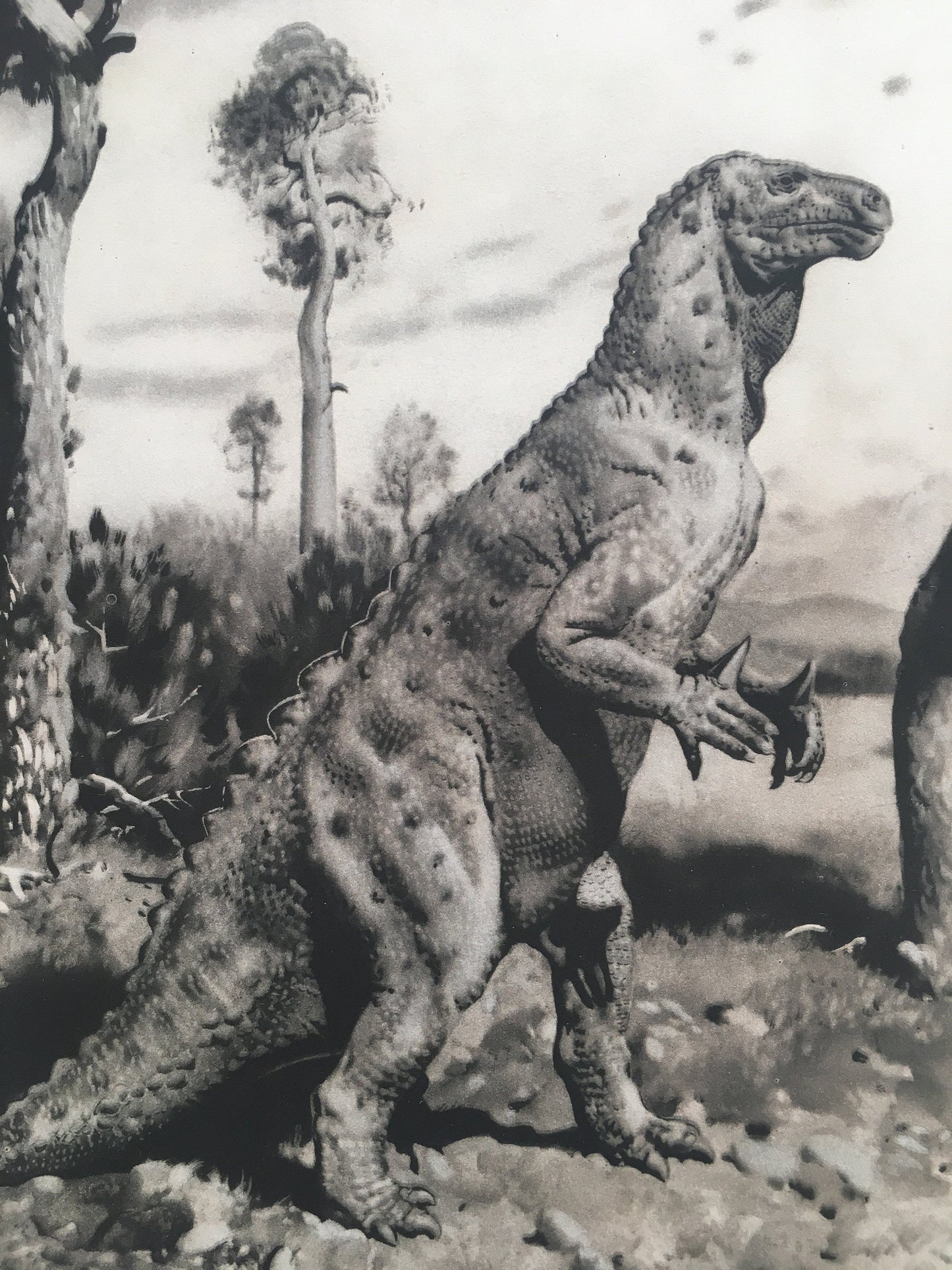 1960 IGUANODON DINOSAUR Print - Prehistoric Animals Print - Paleoart - Dinosaur Decoration - 63 Years Old - 13.5 x 9.75 Inches