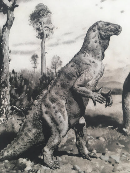 1960 IGUANODON DINOSAUR Print - Prehistoric Animals Print - Paleoart - Dinosaur Decoration - 63 Years Old - 13.5 x 9.75 Inches