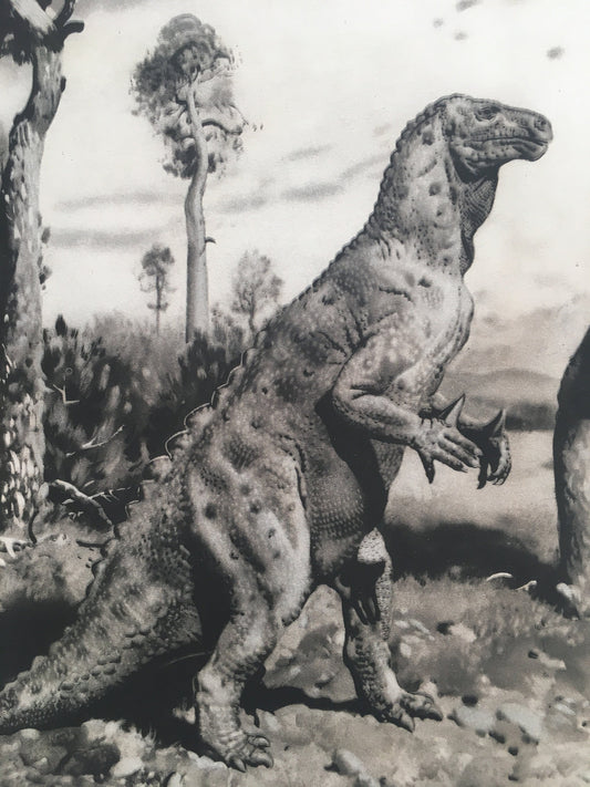 1960 IGUANODON DINOSAUR Print - Prehistoric Animals Print - Paleoart - Dinosaur Decoration - 63 Years Old - 13.5 x 9.75 Inches