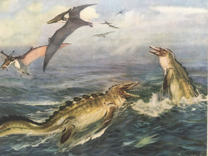 1960 PTERANODON & MOSASAUR DINOSAUR Print - Prehistoric Animals Print - Paleoart - Dinosaur Decoration - 63 Years Old - 13.5 x 9.75 Inches