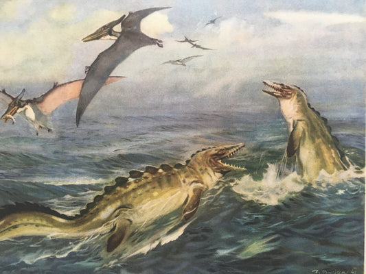 1960 PTERANODON & MOSASAUR DINOSAUR Print - Prehistoric Animals Print - Paleoart - Dinosaur Decoration - 63 Years Old - 13.5 x 9.75 Inches