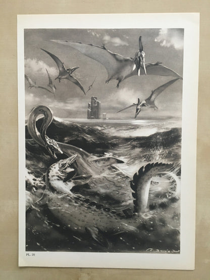 1960 ELASMOSAURUS & PTERODACTYL Print - Prehistoric Animals Print - Paleoart - Dinosaur Decoration - 63 Years Old - 13.5 x 9.75 Inches