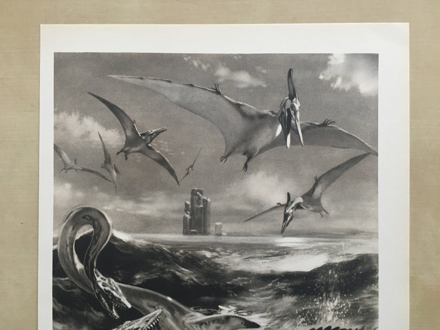 1960 ELASMOSAURUS & PTERODACTYL Print - Prehistoric Animals Print - Paleoart - Dinosaur Decoration - 63 Years Old - 13.5 x 9.75 Inches