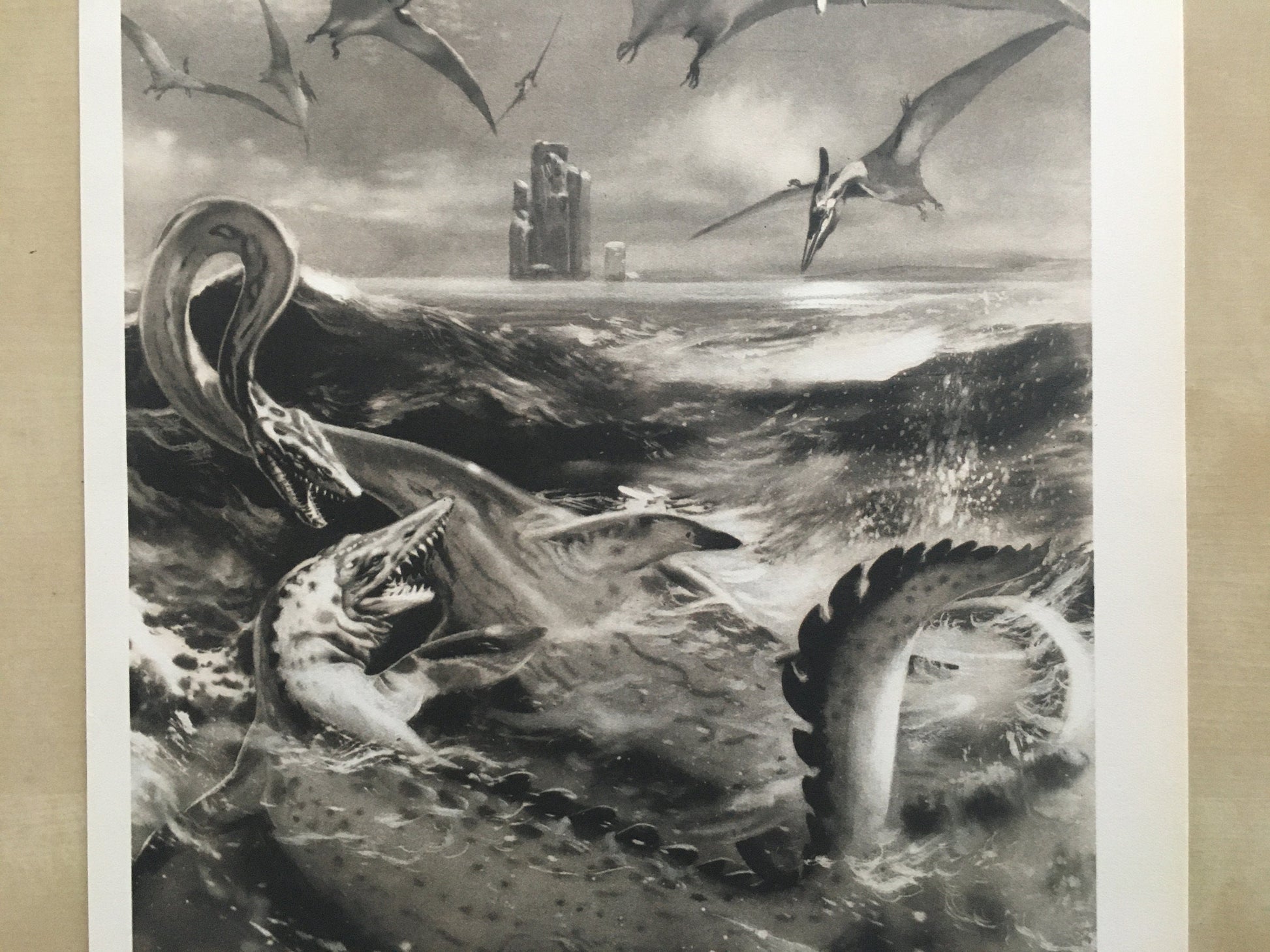 1960 ELASMOSAURUS & PTERODACTYL Print - Prehistoric Animals Print - Paleoart - Dinosaur Decoration - 63 Years Old - 13.5 x 9.75 Inches