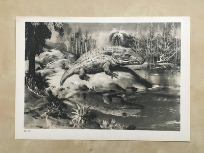 1960 MASTODONSAURUS Print - Prehistoric Animals Print - Paleoart - Paleontology Print - Dinosaur Print - 63 Years Old - 13.5 x 9.75 Inches