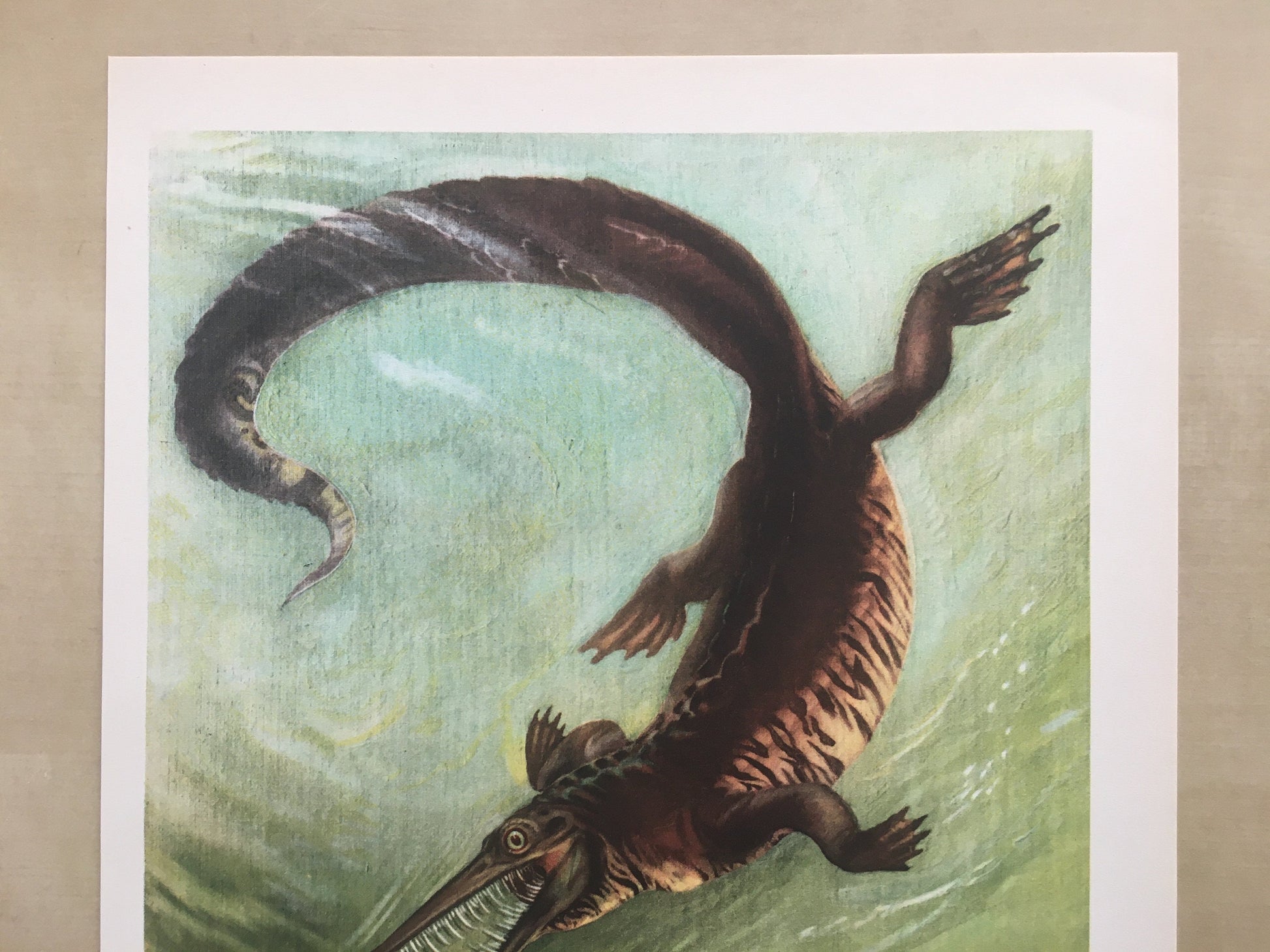 1960 MESOSAURUS Print - Prehistoric Animals Print - Paleoart - Dinosaur Decoration - Dinosaur Print - 63 Years Old - 13.5 x 9.75 Inches