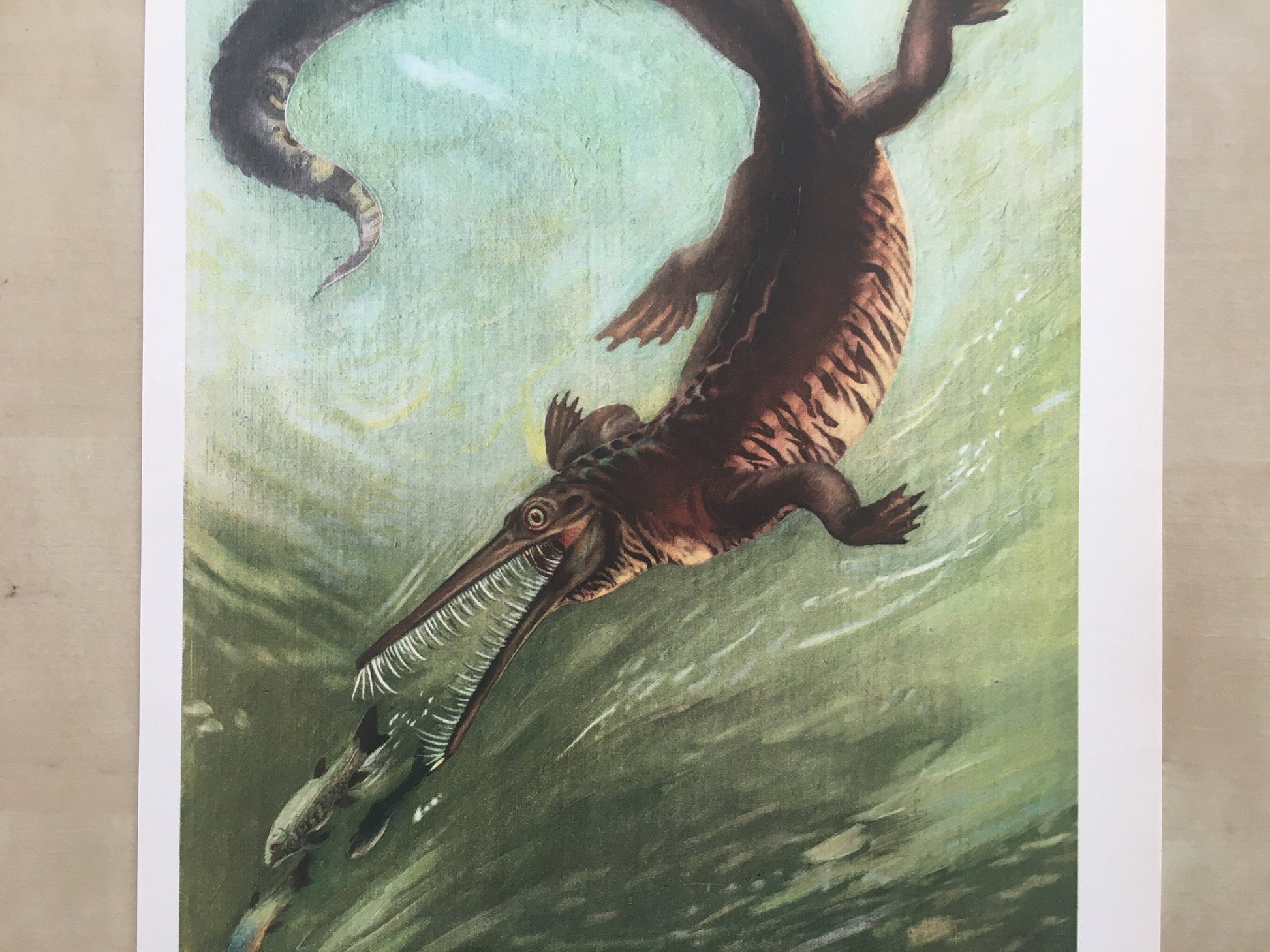 1960 MESOSAURUS Print - Prehistoric Animals Print - Paleoart - Dinosaur Decoration - Dinosaur Print - 63 Years Old - 13.5 x 9.75 Inches