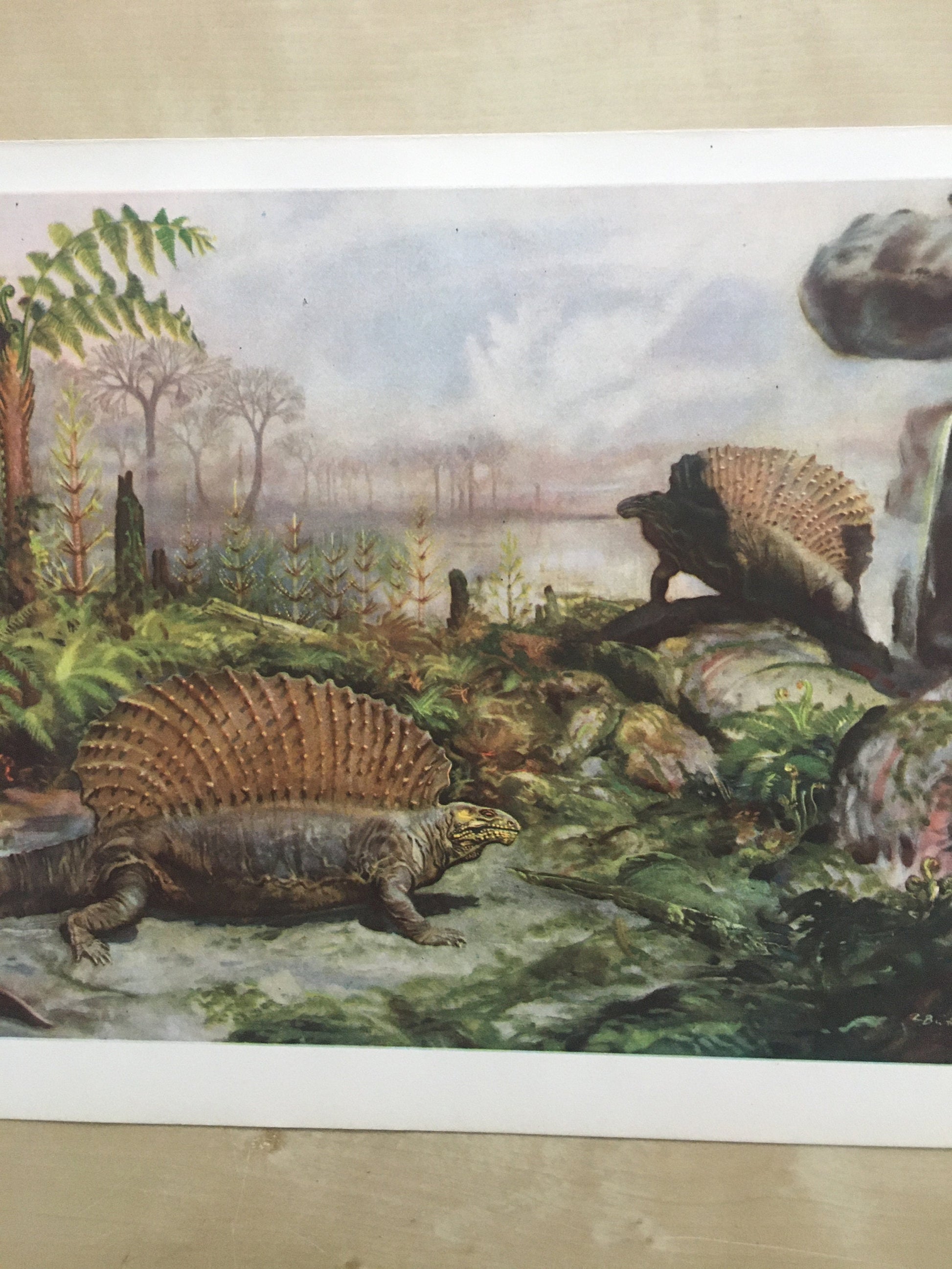 1960 EDAPHOSAURUS Print - Prehistoric Animals Print - Paleoart - Paleontology Print - Dinosaur Print - 63 Years Old - 13.5 x 9.75 Inches
