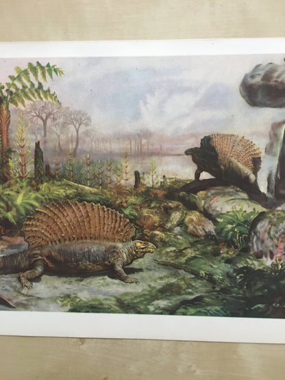 1960 EDAPHOSAURUS Print - Prehistoric Animals Print - Paleoart - Paleontology Print - Dinosaur Print - 63 Years Old - 13.5 x 9.75 Inches