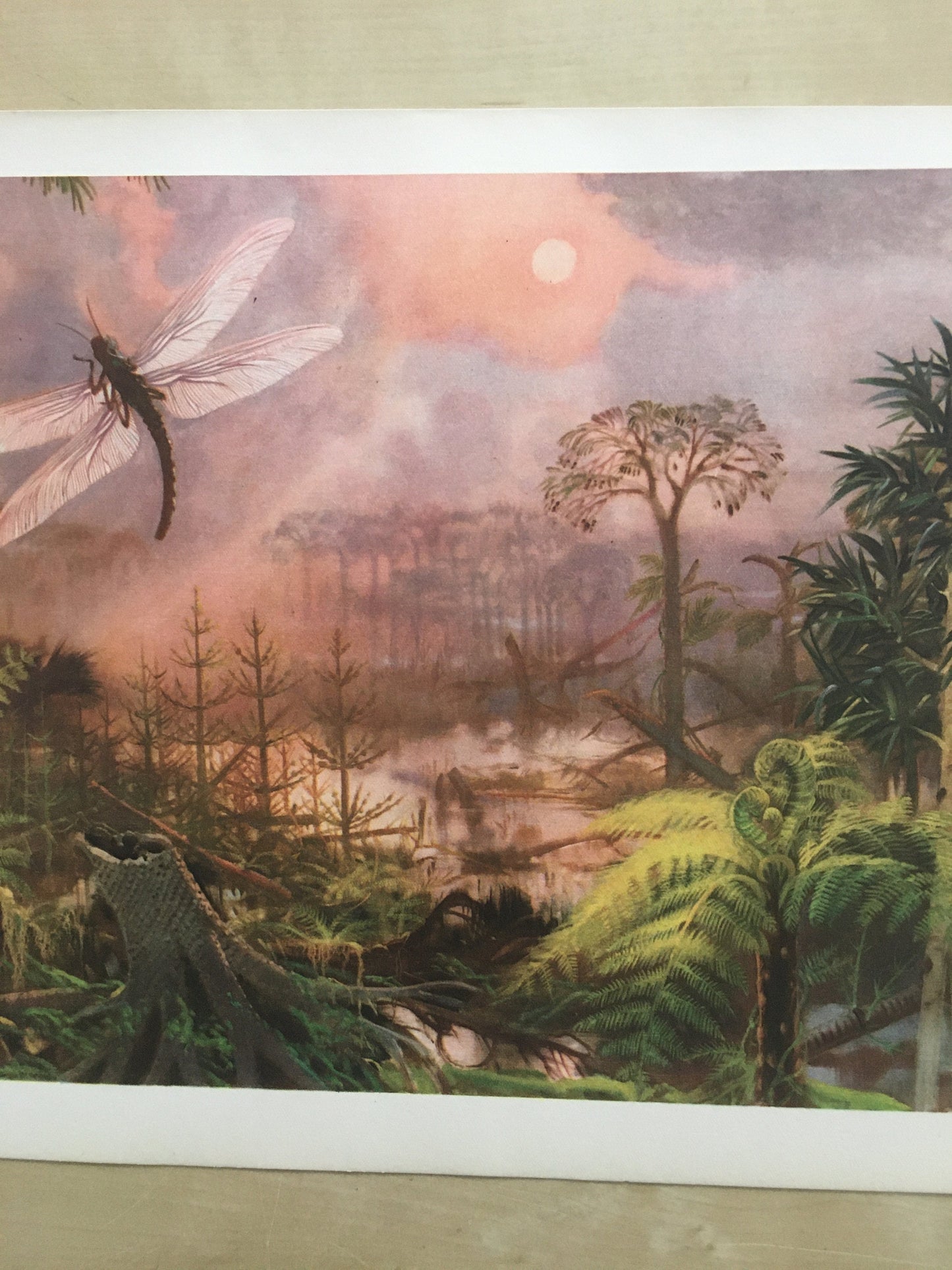 1960 MEGANEURA Print - Prehistoric Animals Print - Paleoart - Paleontology Print - Insect Print - 63 Years Old - 13.5 x 9.75 Inches