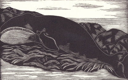 1931 GREENLAND WHALE Print Wood Engraving - Whale Wall Art - Antique Animal Wood Engraving - 92 Years Old - 7.8 x 5.25 Inches
