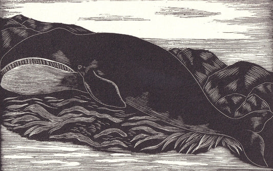 1931 GREENLAND WHALE Print Wood Engraving - Whale Wall Art - Antique Animal Wood Engraving - 92 Years Old - 7.8 x 5.25 Inches