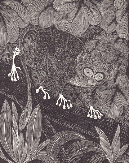 1931 TARSIER Print Wood Engraving - Primate Wall Art - Zoology Print - Antique Animal Wood Engraving - 92 Years Old - 7.8 x 5.25 Inches