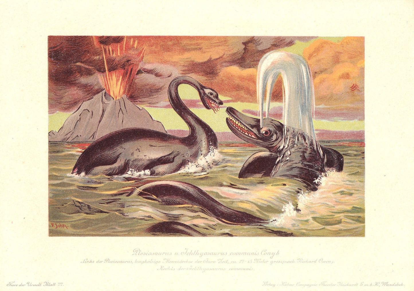 Rare! 1902 PLESIOSAURUS & ICHTHYOSAURUS DINOSAUR Print - Antique Dinosaur Print - Paleoart - Dinosaur Wall Art - 10.5 x 7.5 I
