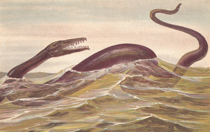 1902 MOSASAURUS DINOSAUR Print - Antique Dinosaur Print - Paleoart - Dinosaur Wall Art - 121 Years Old - 10.5 x 7.5 Inches