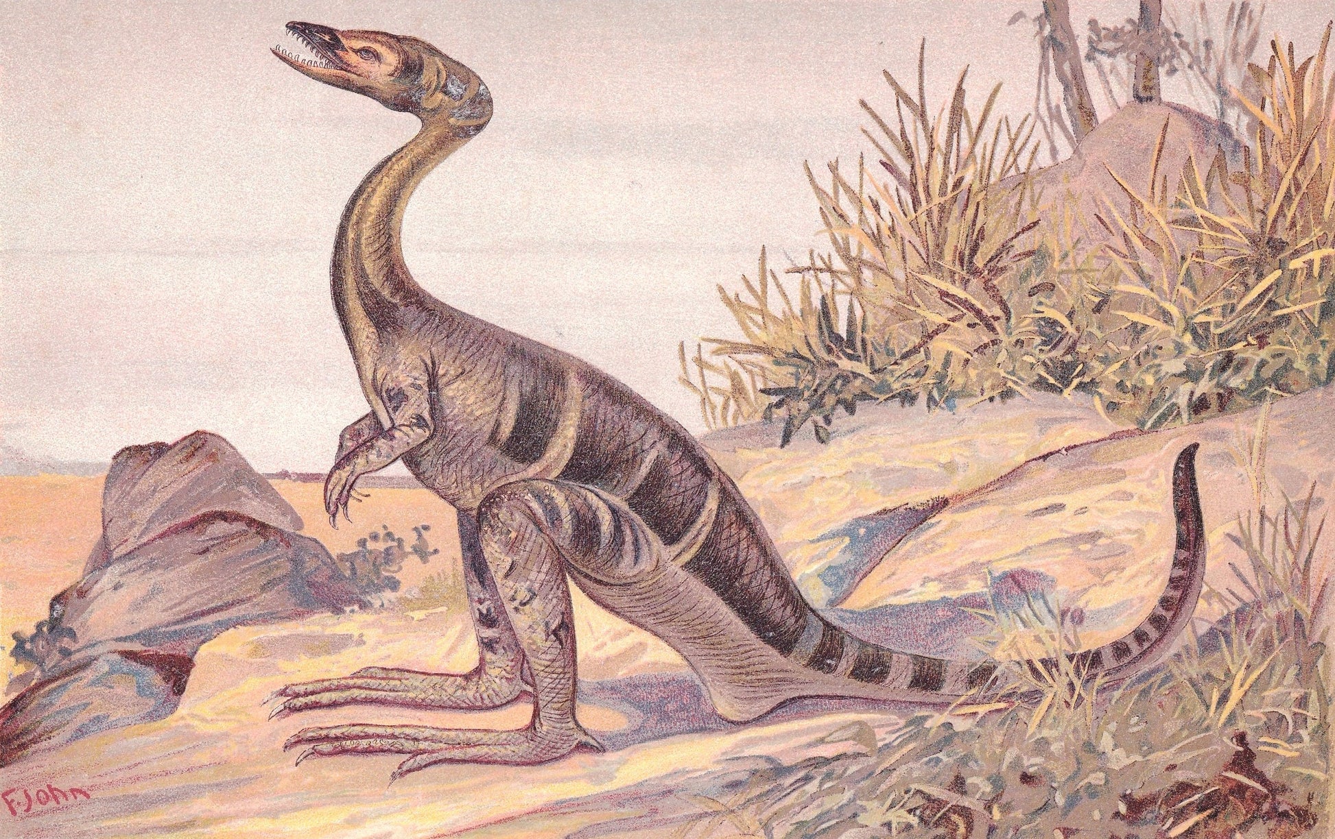 1902 COMPSOGNATHUS DINOSAUR Print - Antique Dinosaur Print - Paleoart - Dinosaur Wall Art - 121 Years Old - 10.5 x 7.5 Inches