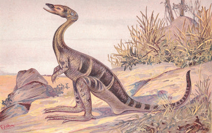 1902 COMPSOGNATHUS DINOSAUR Print - Antique Dinosaur Print - Paleoart - Dinosaur Wall Art - 121 Years Old - 10.5 x 7.5 Inches