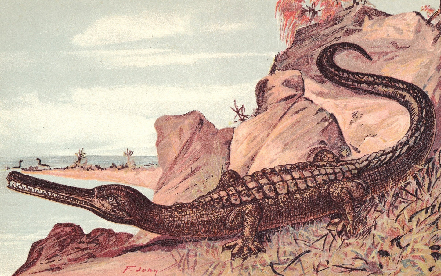 1902 TELEOSAURUS Print - Jurassic Crocodile - Paleoart - Prehistoric Animals Wall Art - 121 Years Old - 10.5 x 7.5 Inches