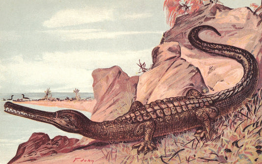 1902 TELEOSAURUS Print - Jurassic Crocodile - Paleoart - Prehistoric Animals Wall Art - 121 Years Old - 10.5 x 7.5 Inches