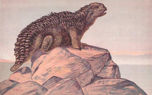 1902 HYLAEOSAURUS Print - Jurassic Reptile - Paleoart - Prehistoric Animals Wall Art - 121 Years Old - 10.5 x 7.5 Inches