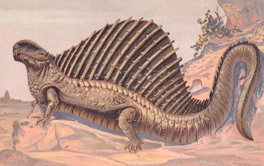 1902 DIMETRODON Print - Antique Dinosaur Print - Paleoart - Prehistoric Wall Art - 121 Years Old - 10.5 x 7.5 Inches