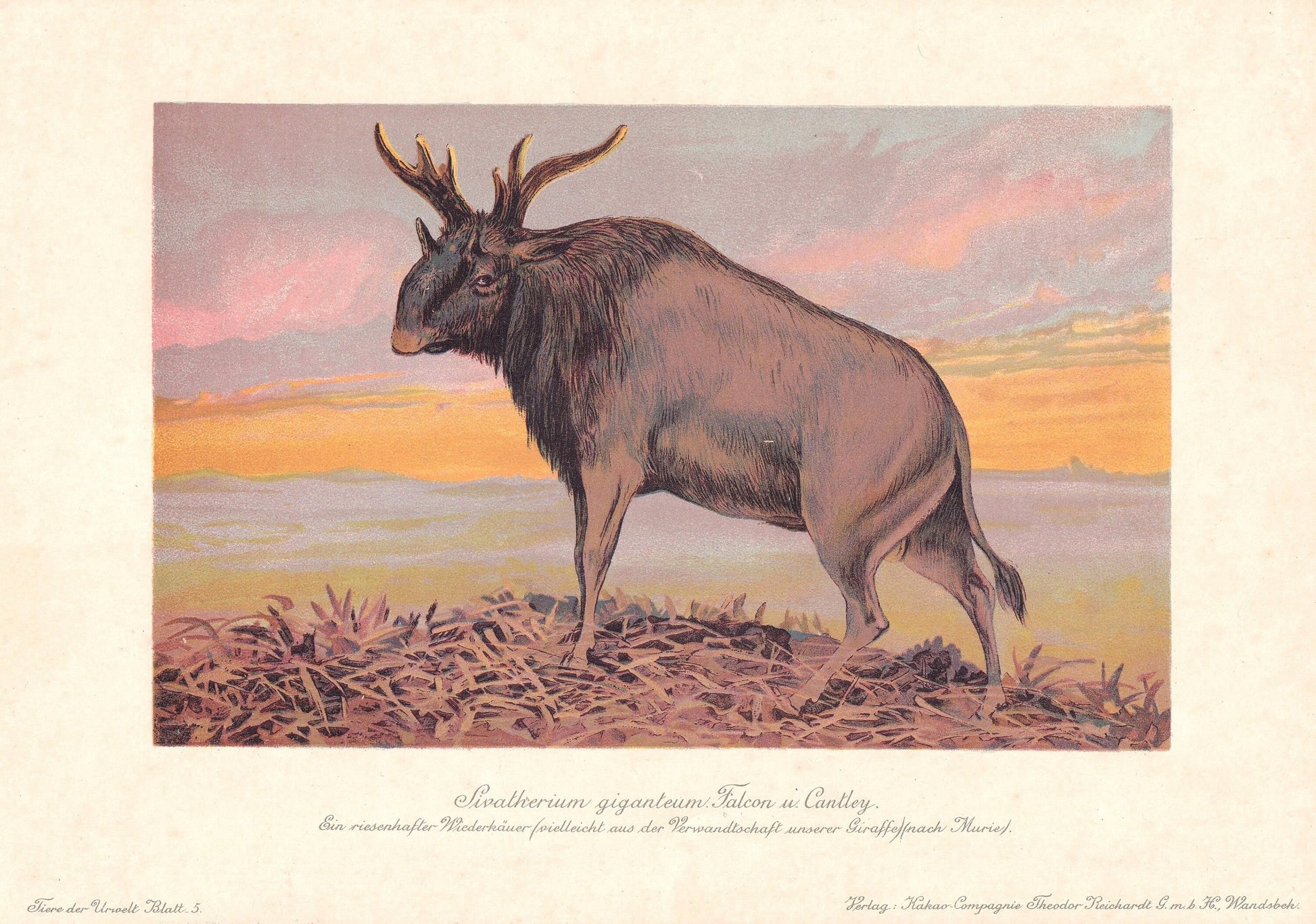 1902 SIVATHERIUM Print - Megafauna Print - Paleoart - Prehistoric Wall Art - 121 Years Old - 10.5 x 7.5 Inches