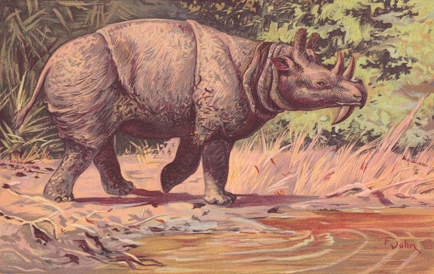 1902 DINOCEROS Print - Megafauna Print - Paleoart - Prehistoric Wall Art - 121 Years Old - 10.5 x 7.5 Inches