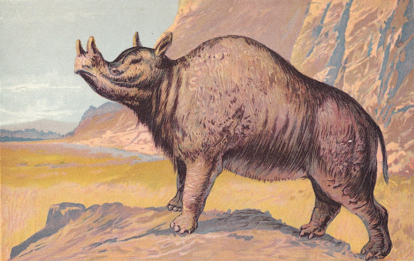 1902 MEGACEROPS Print - Extinct Animal Print - Paleoart - Megafauna Wall Art - 121 Years Old - 10.5 x 7.5 Inches