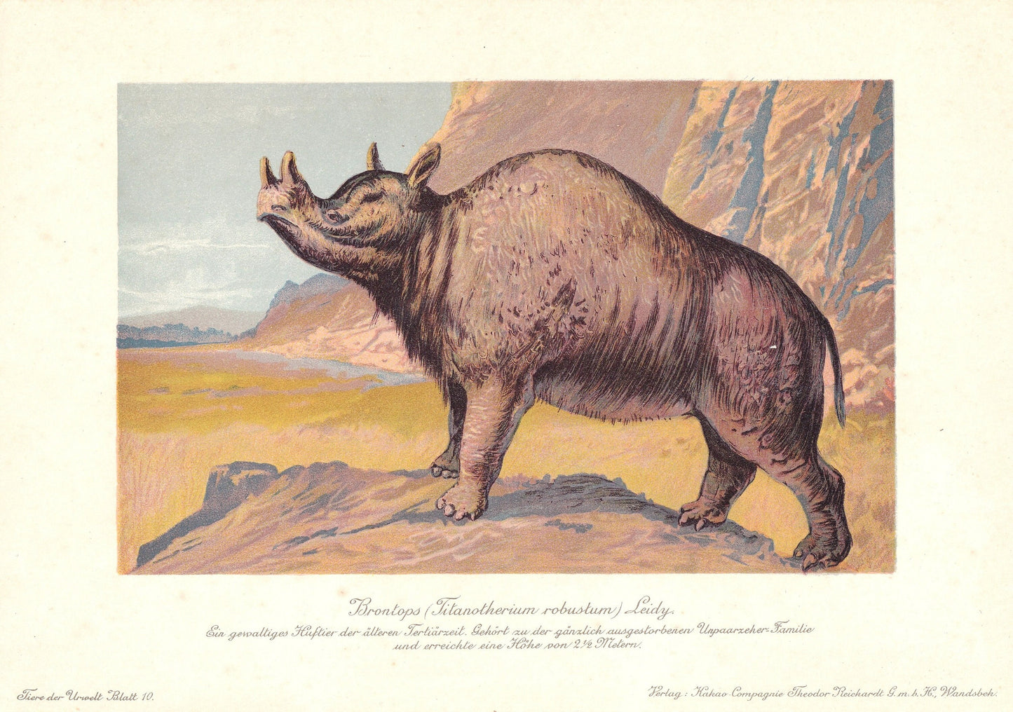 1902 MEGACEROPS Print - Extinct Animal Print - Paleoart - Megafauna Wall Art - 121 Years Old - 10.5 x 7.5 Inches