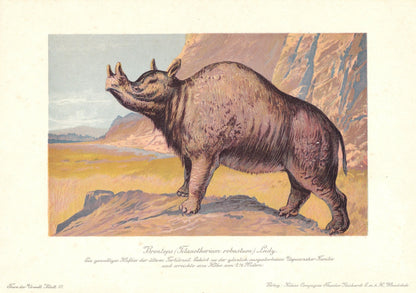 1902 MEGACEROPS Print - Extinct Animal Print - Paleoart - Megafauna Wall Art - 121 Years Old - 10.5 x 7.5 Inches