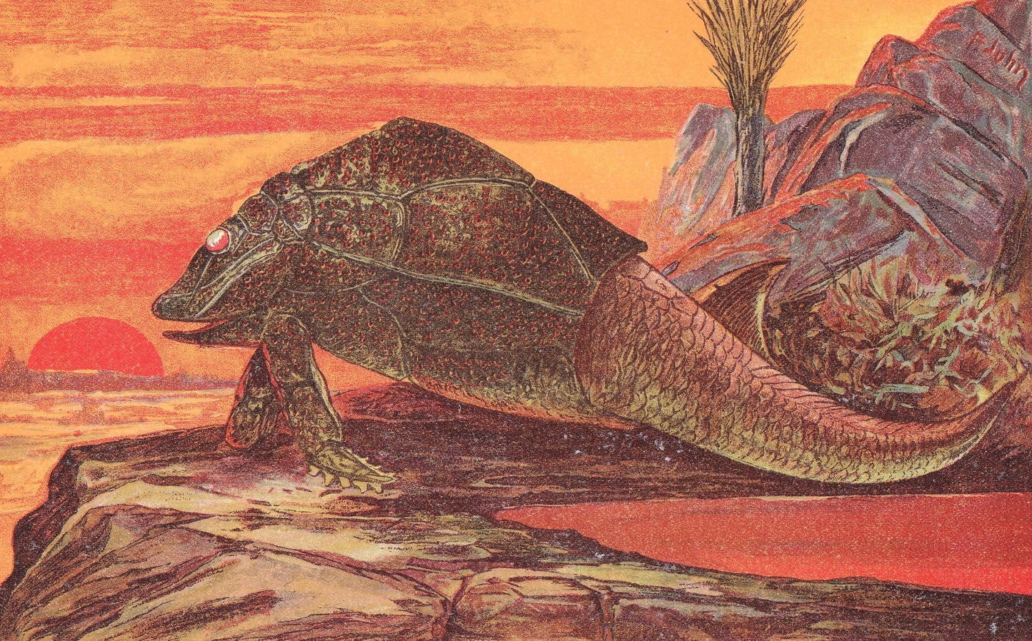 1902 PTERICHTHYODES Print - Extinct Fish Print - Paleoart - Prehistoric Fish Print - 121 Years Old - 10.5 x 7.5 Inches