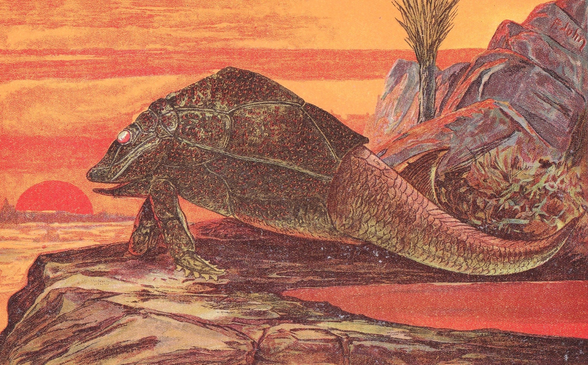 1902 PTERICHTHYODES Print - Extinct Fish Print - Paleoart - Prehistoric Fish Print - 121 Years Old - 10.5 x 7.5 Inches