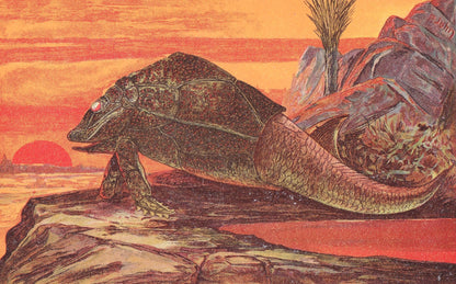 1902 PTERICHTHYODES Print - Extinct Fish Print - Paleoart - Prehistoric Fish Print - 121 Years Old - 10.5 x 7.5 Inches