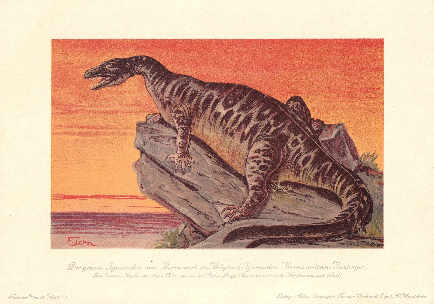 1902 IGUANODON DINOSAUR Print - Antique Dinosaur Print - Paleoart - Dinosaur Wall Art - 121 Years Old - 10.5 x 7.5 Inches