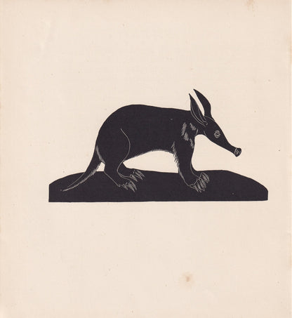 1929 AARDVARK Print Wood Engraving - Aardvark Wall Art - Zoology Print - Wildlife - Antique Animal Print - 94 Years Old - 8 x