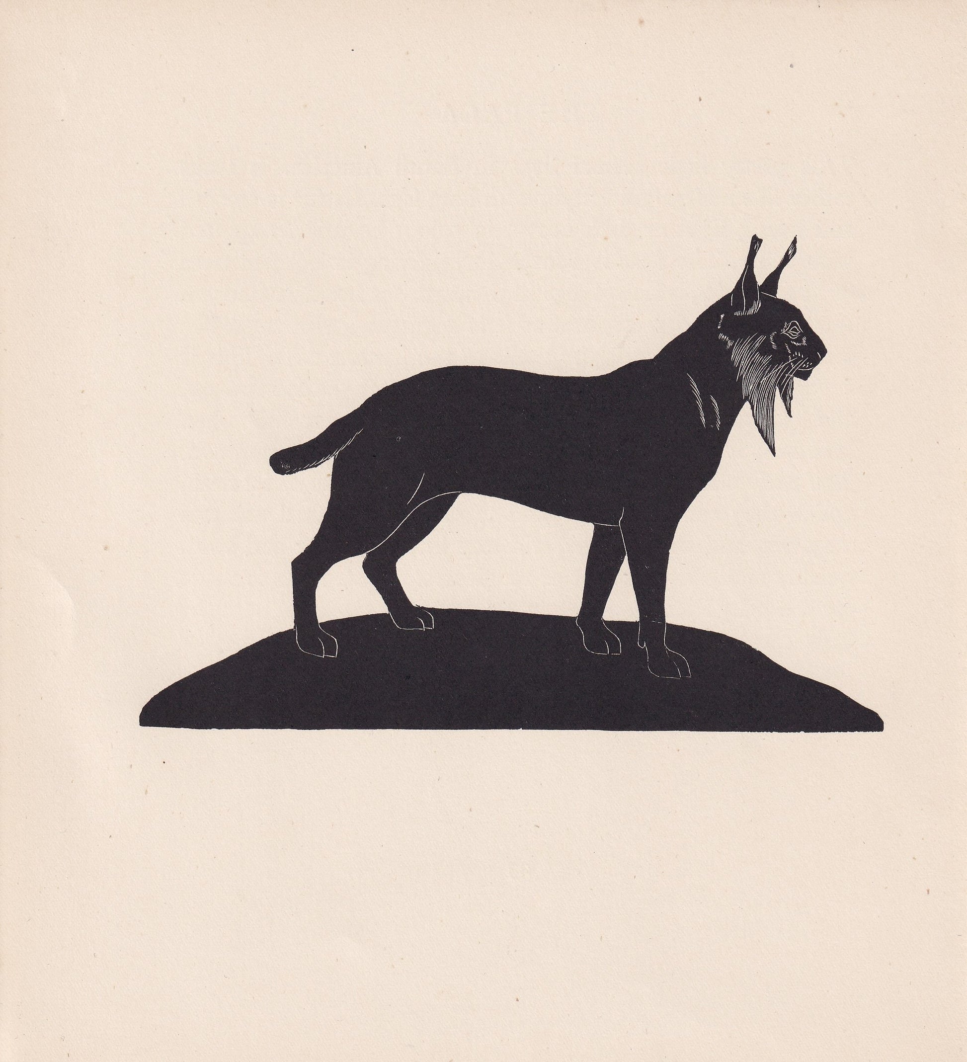 1929 LYNX Print Wood Engraving - Lynx Wall Art - Zoology Print - Wildlife - Antique Animal Print - 94 Years Old - 8 x 7.25 In