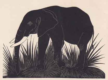 1929 ELEPHANT Print Wood Engraving - Elephant Wall Art - Zoology Print - Antique Animal Print - 94 Years Old - 8 x 7.25 Inche