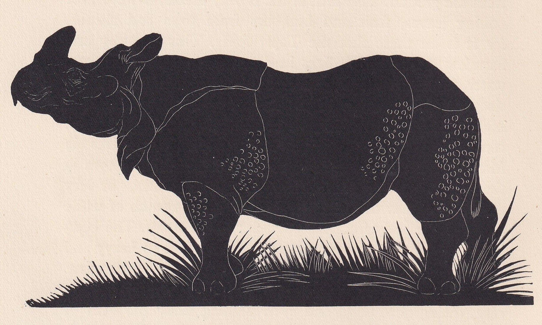 1929 RHINO Print Wood Engraving - Rhino Wall Art - Zoology Print - Antique Animal Print - 94 Years Old - 8 x 7.25 Inches