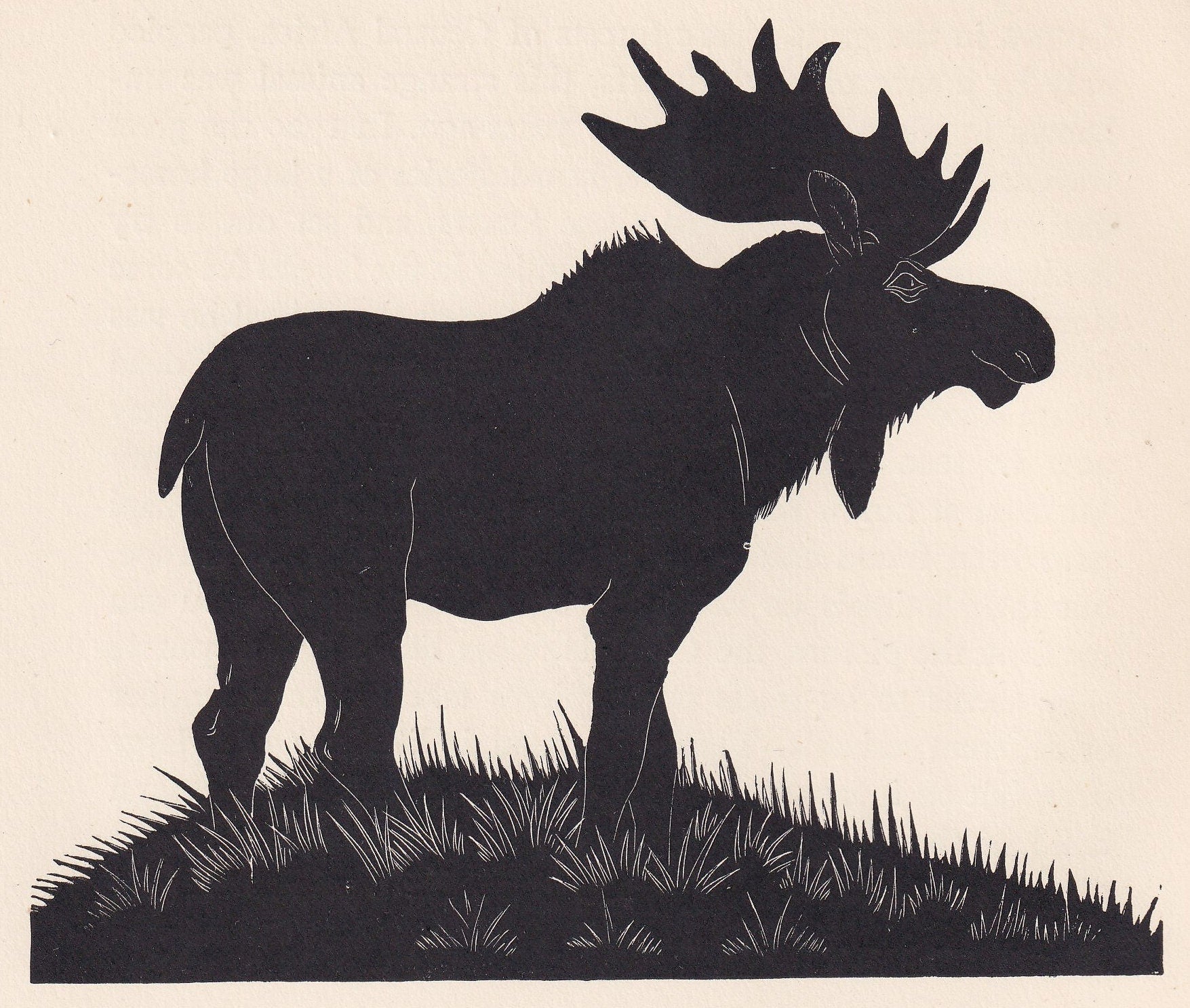 1929 MOOSE Print Wood Engraving - Elk Wall Art - Zoology Print - Antique Animal Print - 94 Years Old - 8 x 7.25 Inches