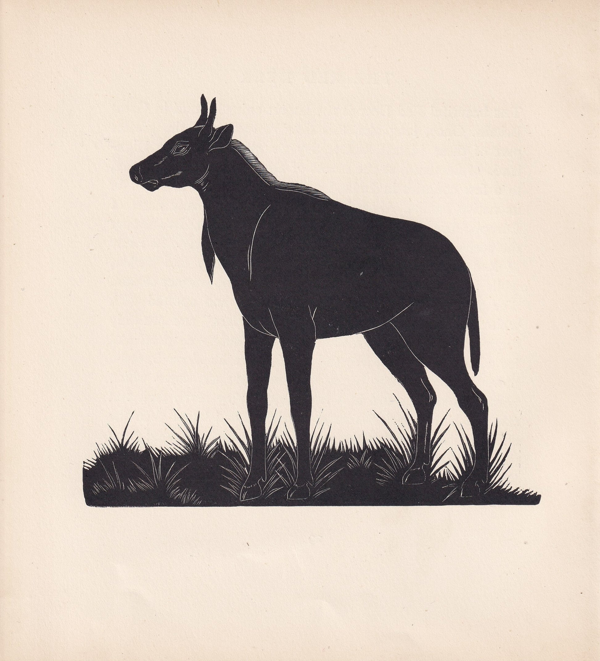 1929 NILGAI Print Wood Engraving - Nilgai Wall Art - Zoology Print - Antique Animal Print - 94 Years Old - 8 x 7.25 Inches
