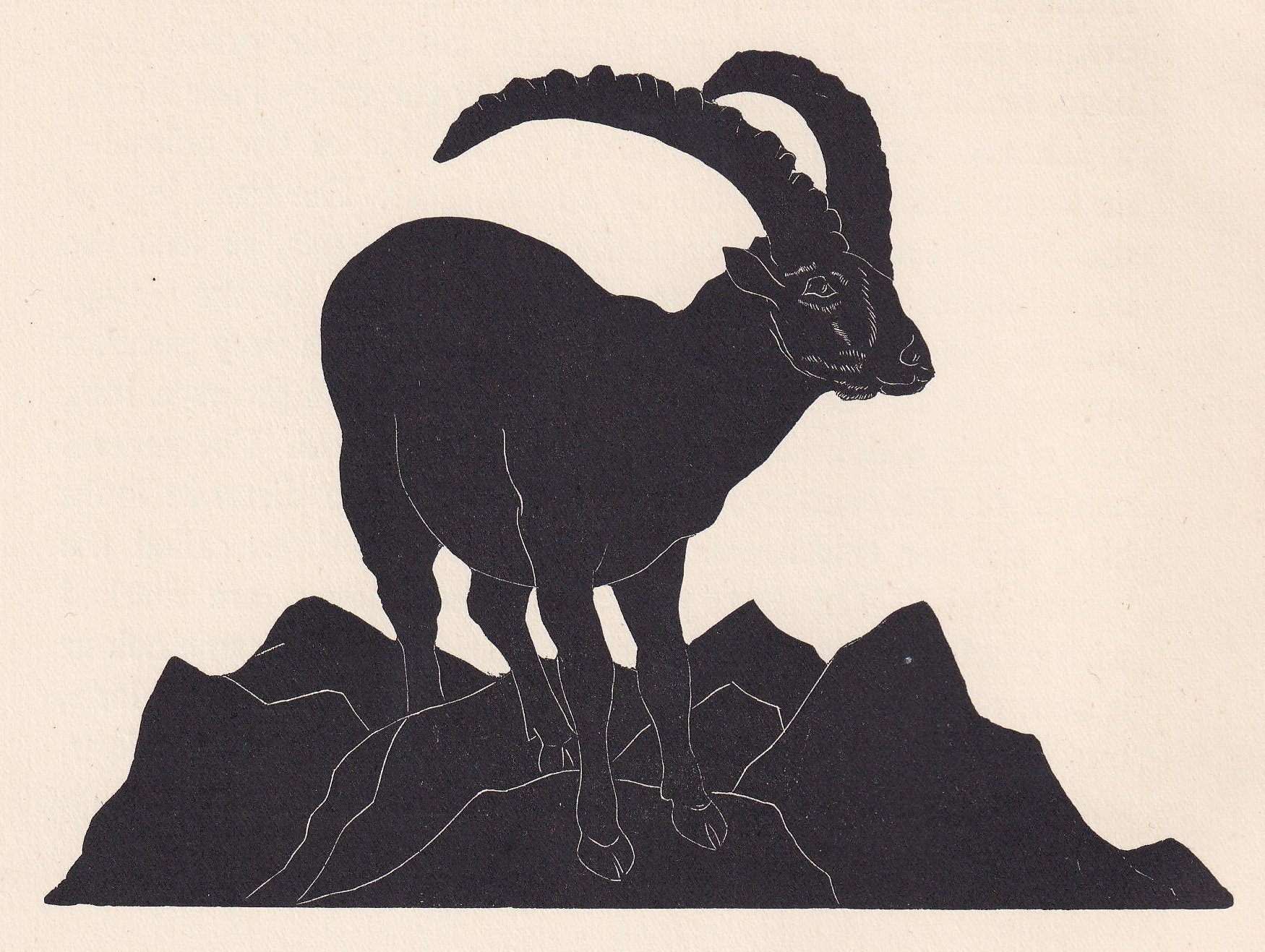 1929 IBEX Print Wood Engraving - Ibex Wall Art - Zoology Print - Antique Animal Print - 94 Years Old - 8 x 7.25 Inches