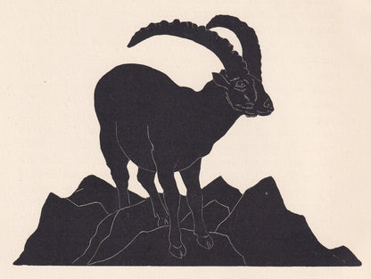 1929 IBEX Print Wood Engraving - Ibex Wall Art - Zoology Print - Antique Animal Print - 94 Years Old - 8 x 7.25 Inches