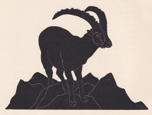 1929 IBEX Print Wood Engraving - Ibex Wall Art - Zoology Print - Antique Animal Print - 94 Years Old - 8 x 7.25 Inches