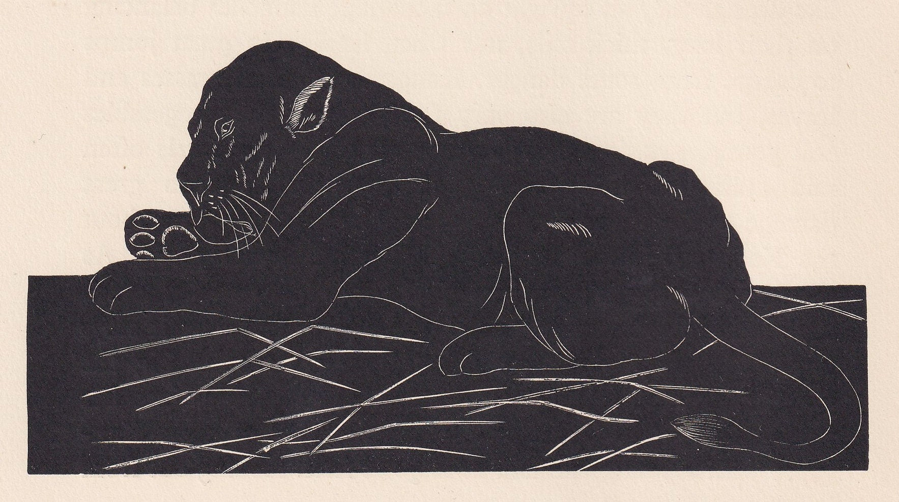 1929 LION Print Wood Engraving - Lion Wall Art - Zoology Print - Antique Animal Print - 94 Years Old - 8 x 7.25 Inches