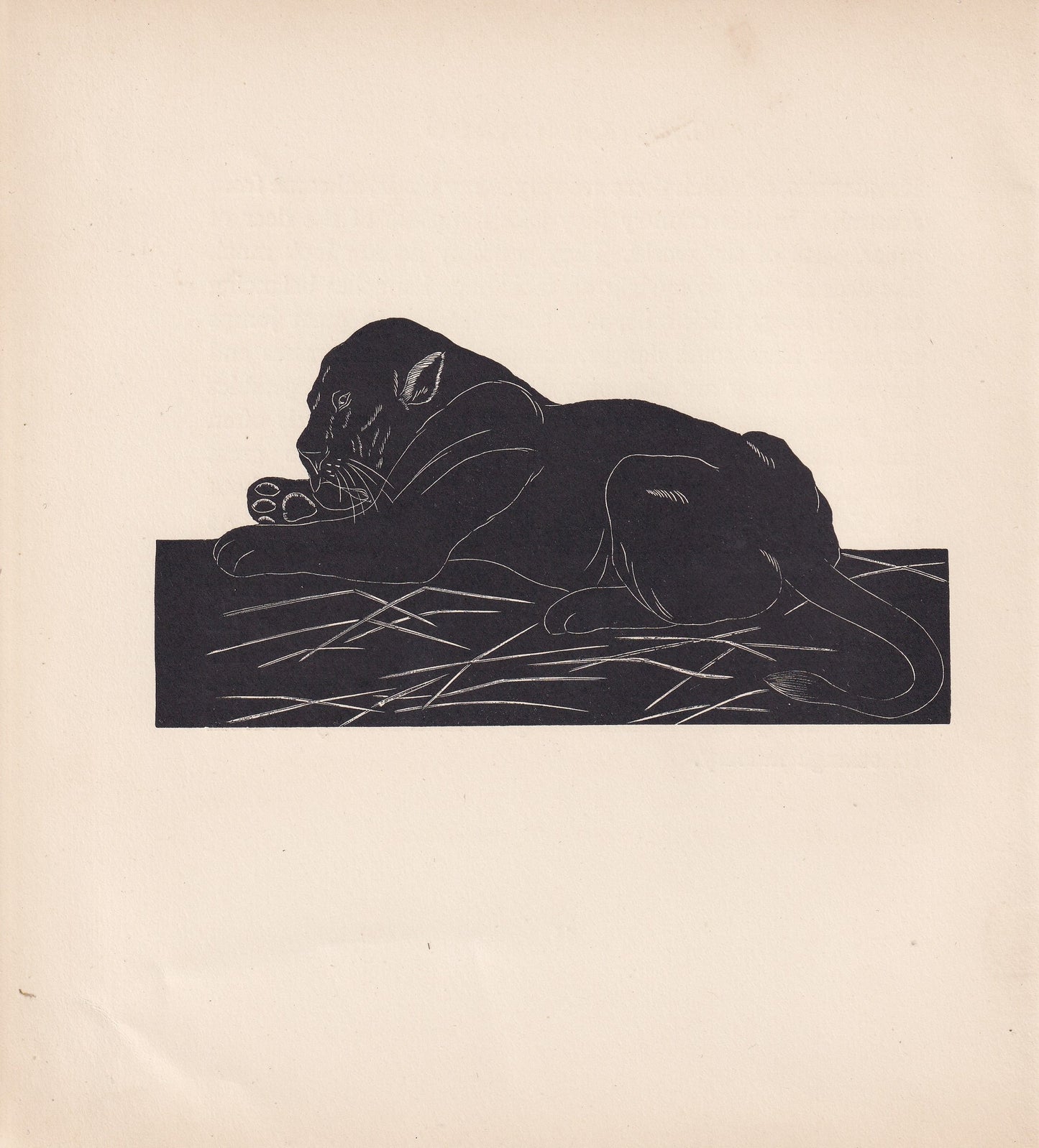 1929 LION Print Wood Engraving - Lion Wall Art - Zoology Print - Antique Animal Print - 94 Years Old - 8 x 7.25 Inches