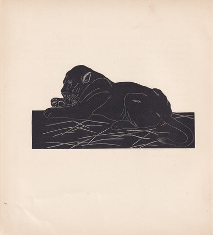 1929 LION Print Wood Engraving - Lion Wall Art - Zoology Print - Antique Animal Print - 94 Years Old - 8 x 7.25 Inches