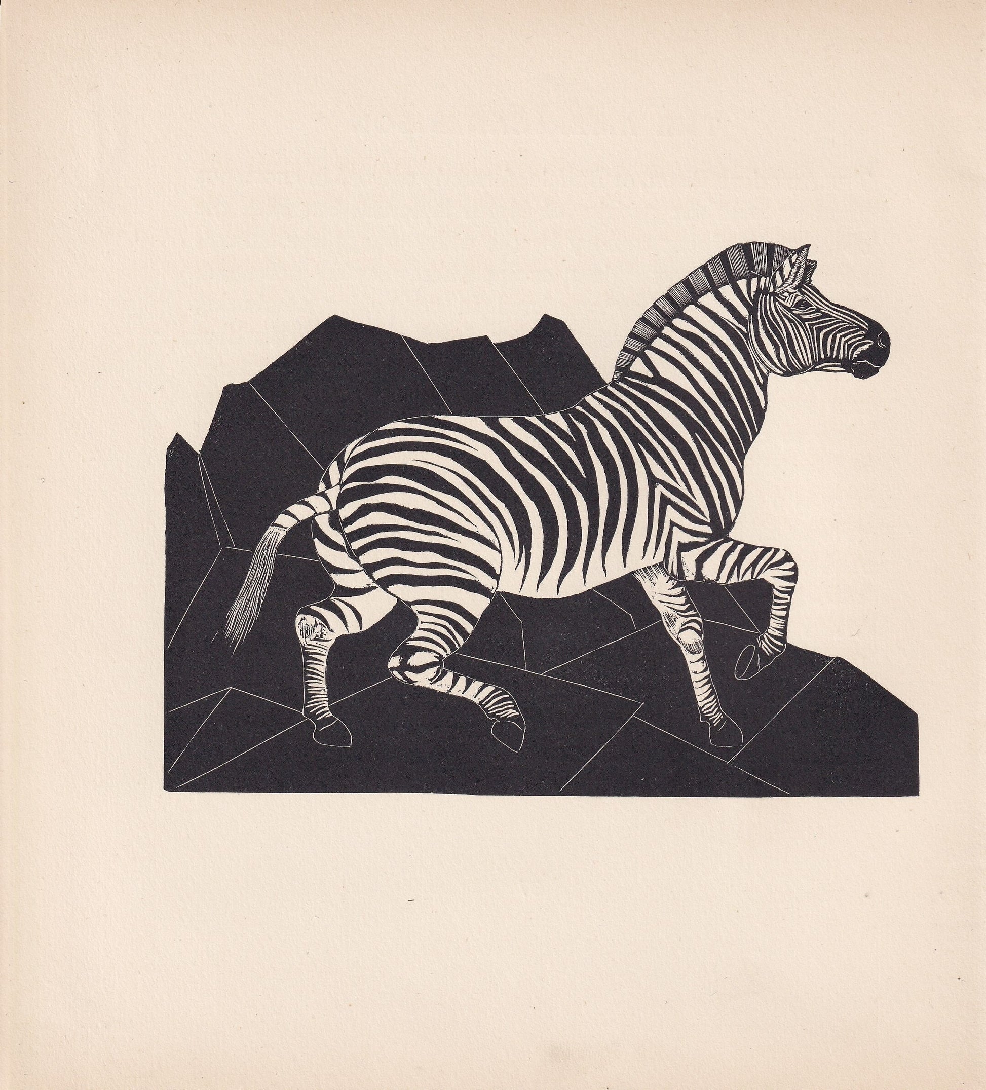 1929 ZEBRA Print Wood Engraving - Zebra Wall Art - Zoology Print - Antique Animal Print - 94 Years Old - 8 x 7.25 Inches