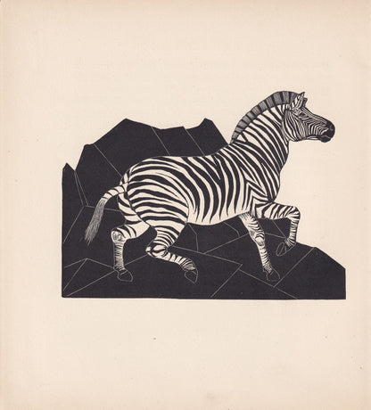 1929 ZEBRA Print Wood Engraving - Zebra Wall Art - Zoology Print - Antique Animal Print - 94 Years Old - 8 x 7.25 Inches